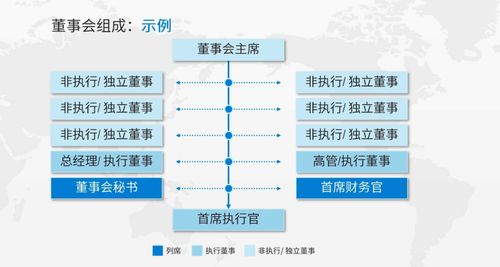 从精英专家视角探析公司治理与数据处理存储服务的融合之道